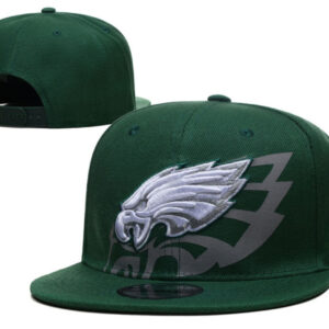 Philadelphia Eagles Kelly Green Hat - All Stitched