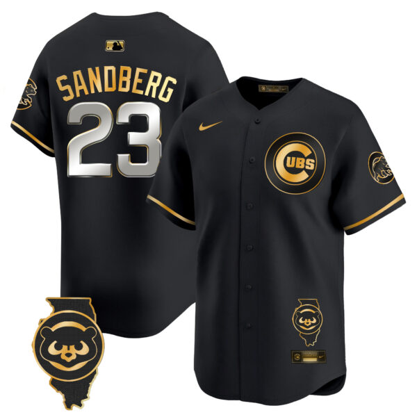Men's Chicago Cubs Illinois Patch Vapor Premier Limited Jersey V2 - All Stitched - Image 4