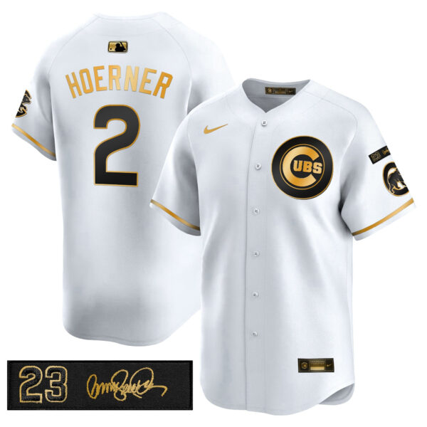 Men's Chicago Cubs 'Ryne Sandberg Tribute' Vapor Premier Limited Jersey V3 - All Stitched - Image 46