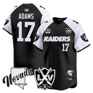 Men's Raiders 2024 Vapor Premier Limited Jersey - 65th Anniversary - All Stitched