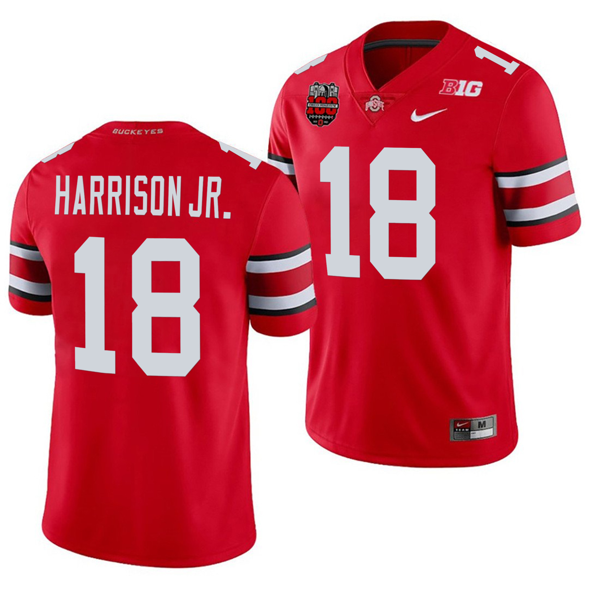 Men's Ohio State Buckeyes Player Jersey - All Stitched - Image 8