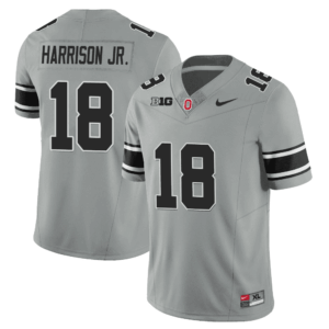 Ohio State Buckeyes 2023 Black Gray Jersey - Stitched