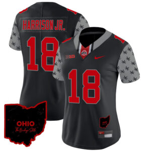 Women's Ohio State Buckeyes 2024 Gray Alternate Jersey - All Stitched